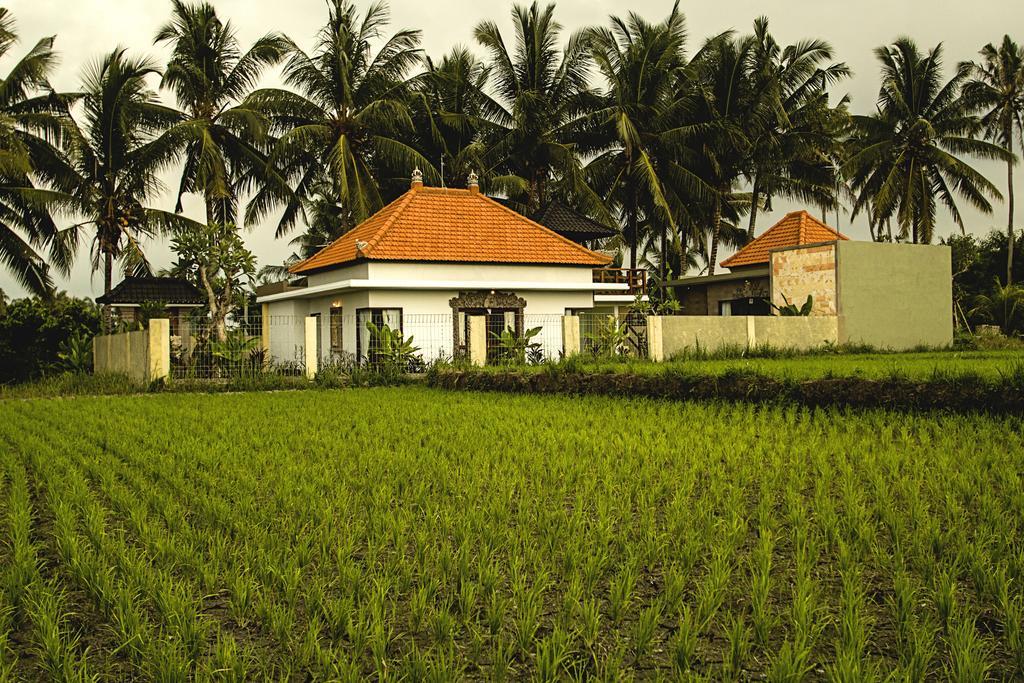 Ubud Lestari Villa Exterior foto